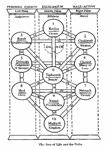 tree of life. THE TREE OF LIFE